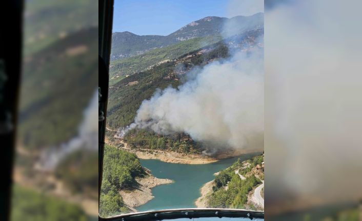 Alanya’da orman yangını başladı