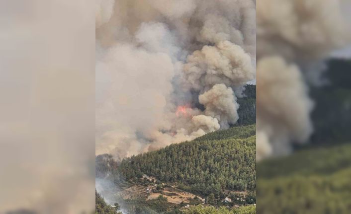 Alanya’daki orman yangını geniş bir alanda devam ediyor