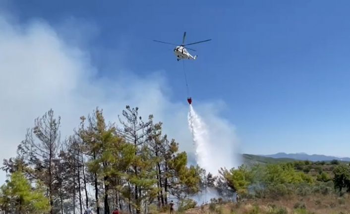 Alanya’daki orman yangını karadan ve havadan müdahaleyle büyümeden söndürüldü