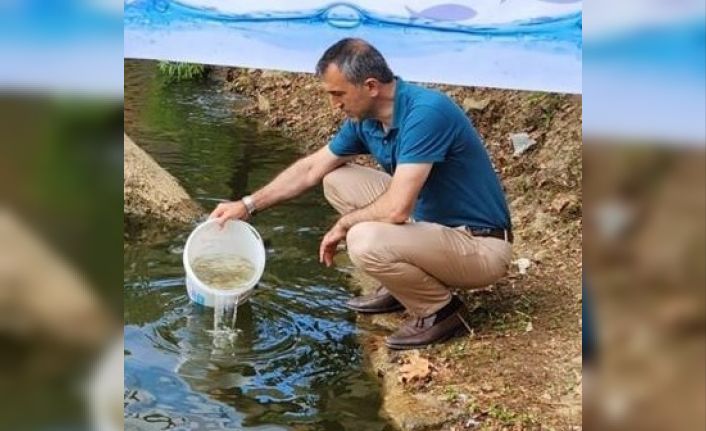 Amasya’da üretilen yavru sazanlar Trabzon’da göllere bırakıldı