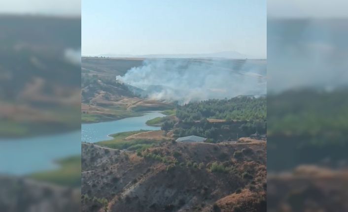 Anız yangını ağaçlık alana sıçradı