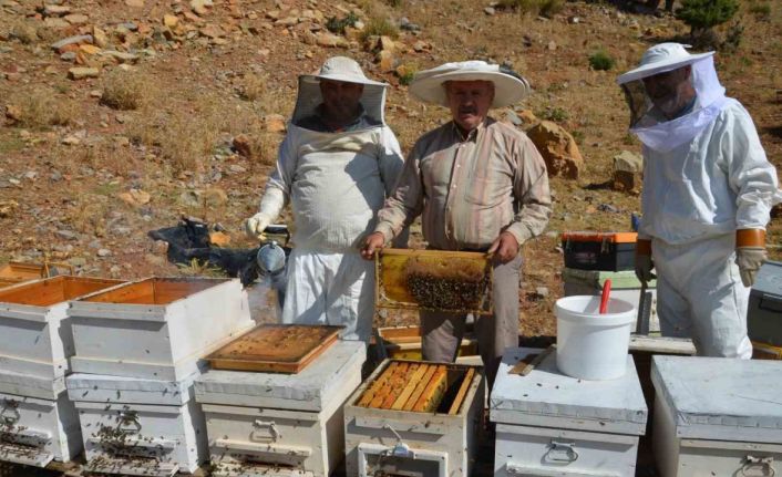 Antalya’da bal rekoltesi düştü, kilogramı 800 liraya kadar çıktı