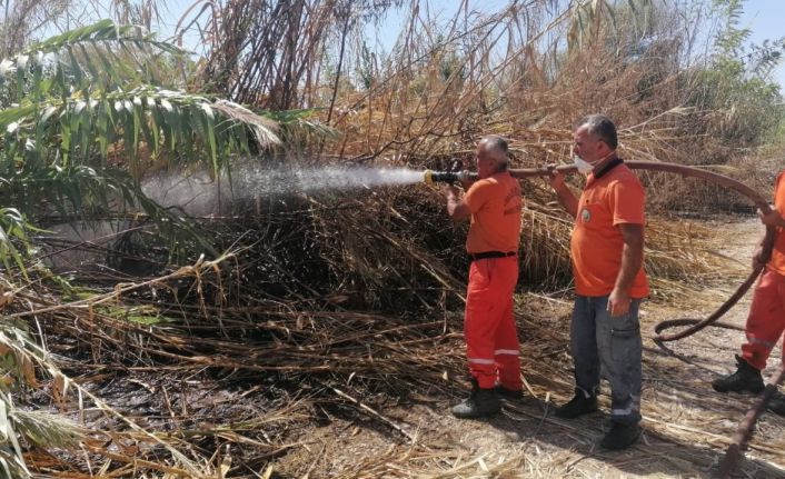 Antalya’da sazlık yangınına havadan ve karadan hızlı müdahale