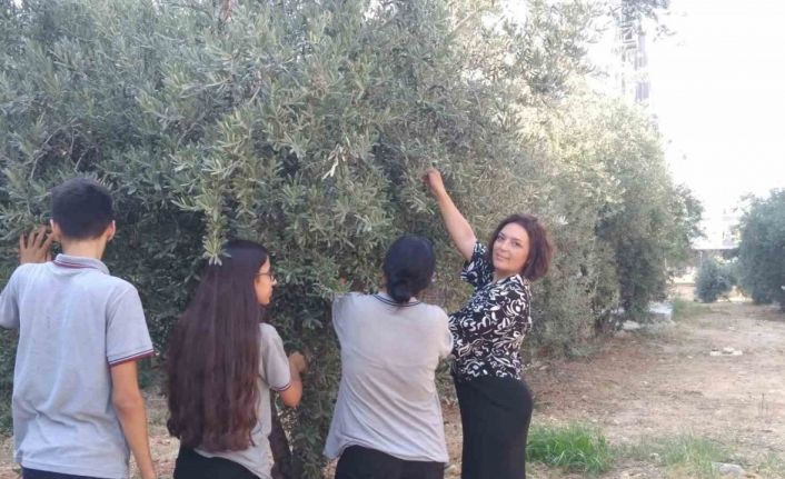 Arkadaşlarına destek için zeytin hasat ettiler