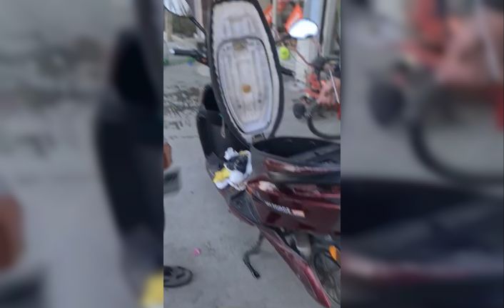 Arnavutköy’de motosikletin koltuk kısmını açtılar, altından yavru kedi çıktı