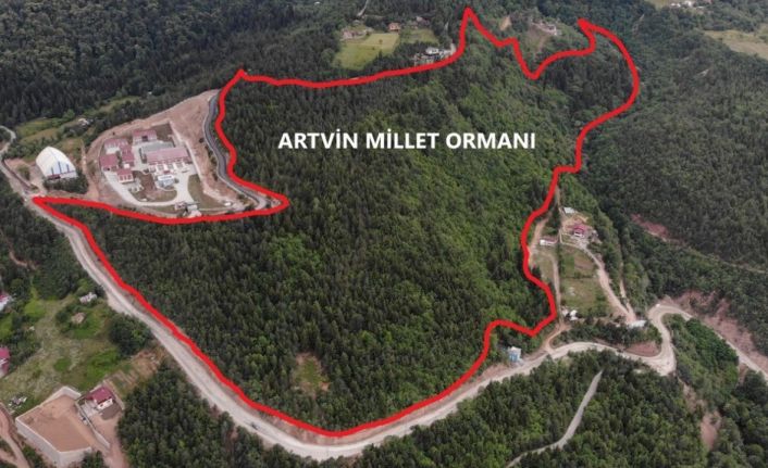 Artvin’e 10 Hektarlık alanda Millet Ormanı oluşturulacak