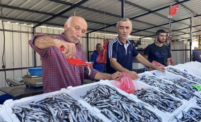 "Balık tezgahları beklenen ilgiyi görmedi"