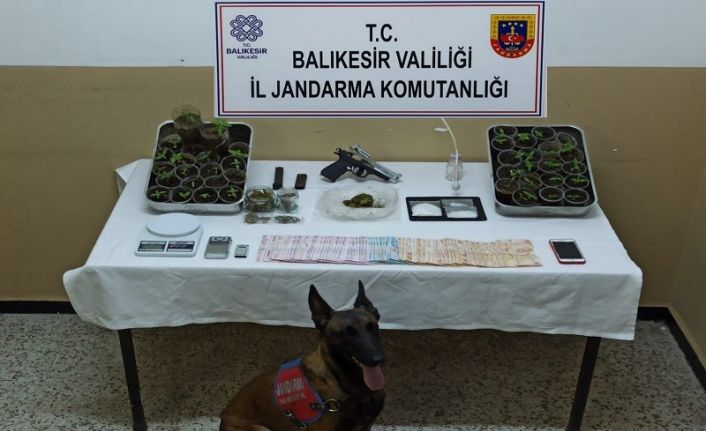 Balıkesir İl Jandarma Komutanlığınca uyuşturucu operasyonu