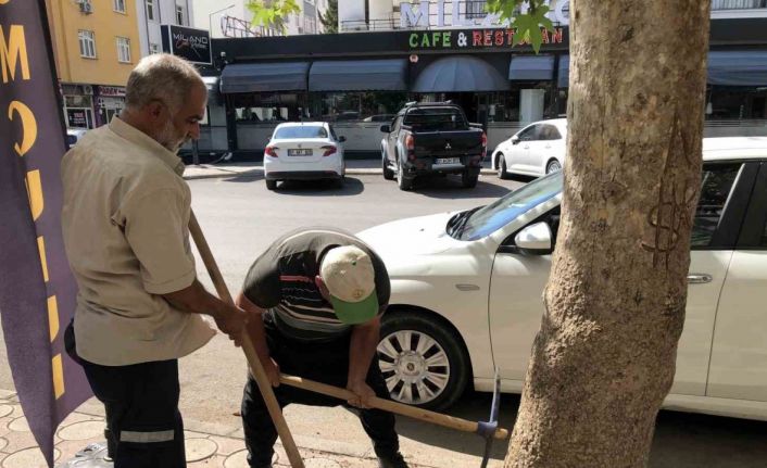 Begonviller ile Kozan daha güzel