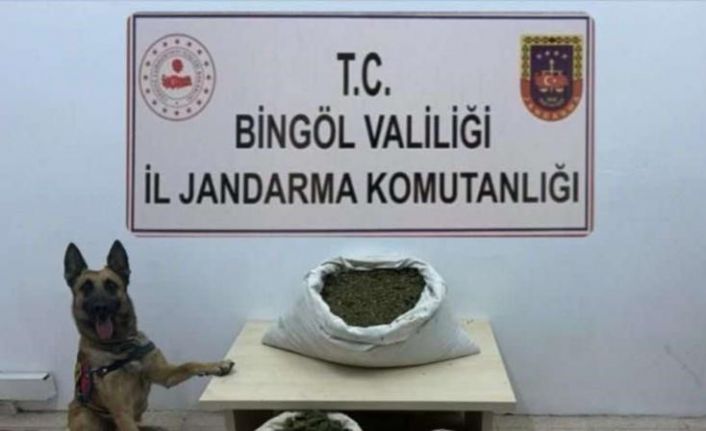 Bingöl’de 6 arazide uyuşturucu madde ele geçirildi