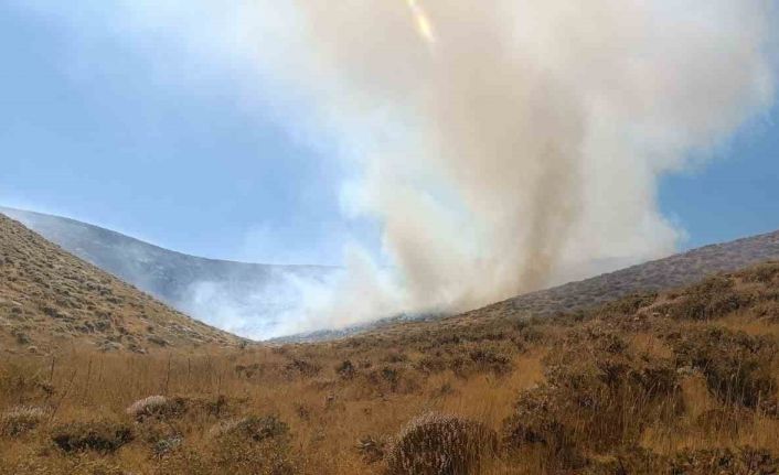 Bingöl’de iki bölgede çıkan yangın söndürüldü