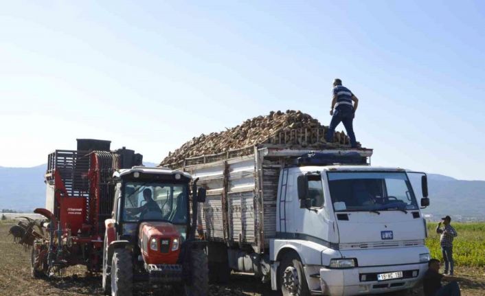 Burdur’da şeker pancarı hasadı sürüyor