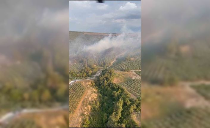 Bursa’daki yangın havadan görüntülendi