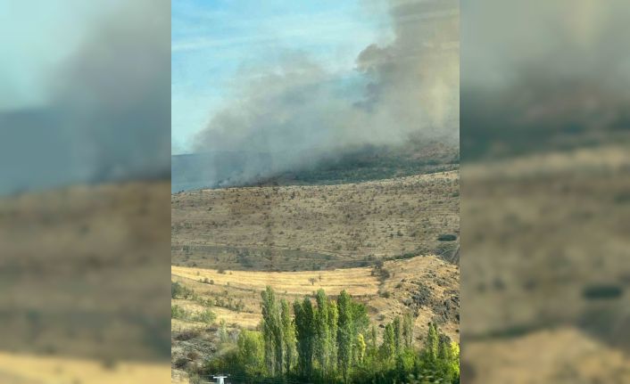 Çankırı’da orman yangını: Havadan ve karadan müdahale ediliyor