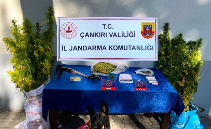 Çankırı’da uyuşturucu operasyonu: 2 gözaltı