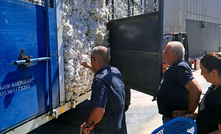 Çiftçinin sigortası Söke TARİŞ’e ilk pamuk teslimi yapıldı