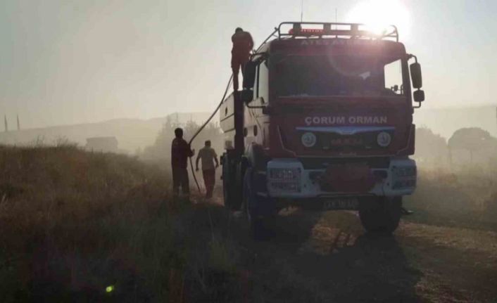 Çorum’da 15 bin dönüm arazi küle döndü