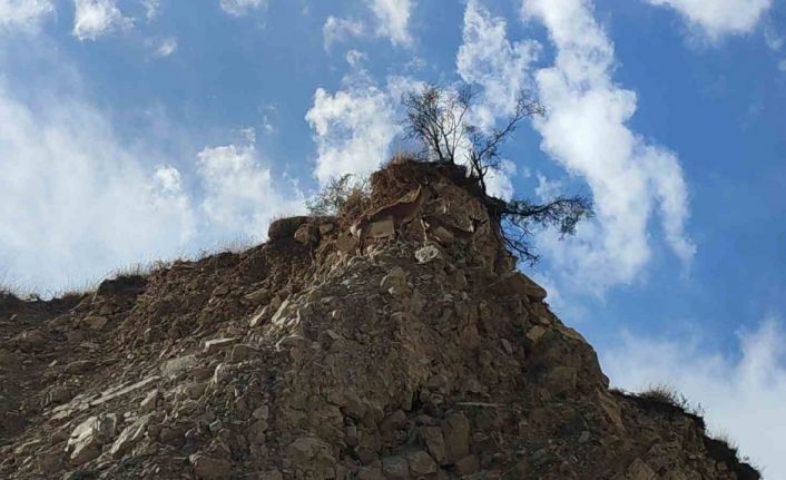 Dağ keçileri doğal hayatlarında görüntülendi