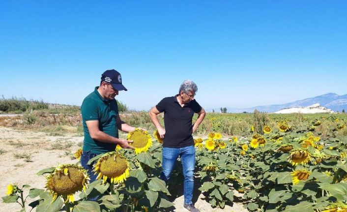 Didim’de haftalık kontroller devam ediyor