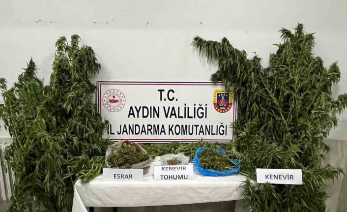 Didim’de uyuşturucu operasyonu: 1 gözaltı