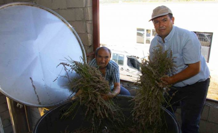 Distilasyon makinesi ile lavanta üreticileri zamandan tasarruf ediyor