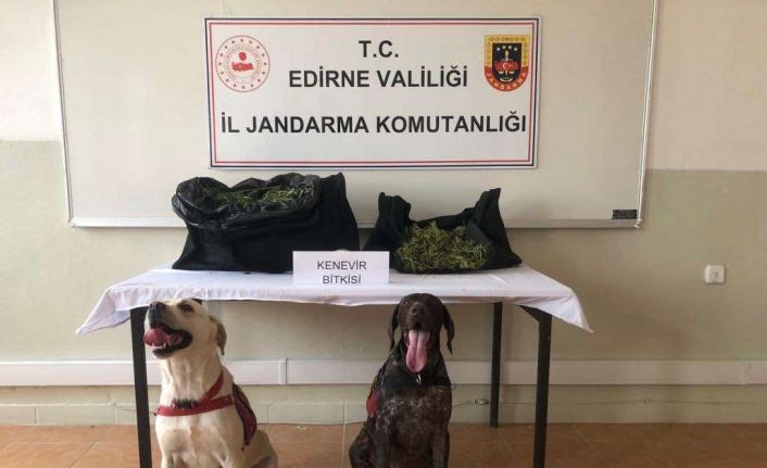 Edirne’de ticari taksideki yolcunun çantasından uyuşturucu çıktı