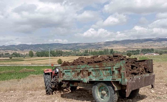 El frenini çekmeyi unuttuğu traktörün altında kaldı