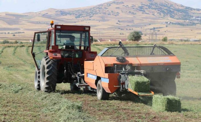 Elazığ’da balyalama  mesaisi başladı