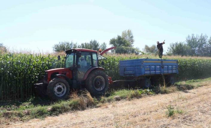 Elazığ’da silajlık mısır hasat etkinliği düzenlendi