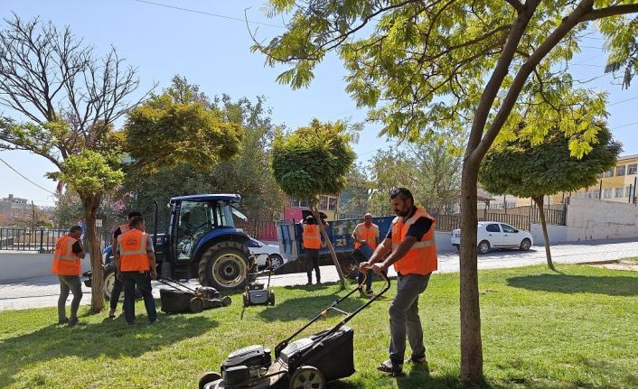 Eyyübiye parklarında sonbahar çalışması