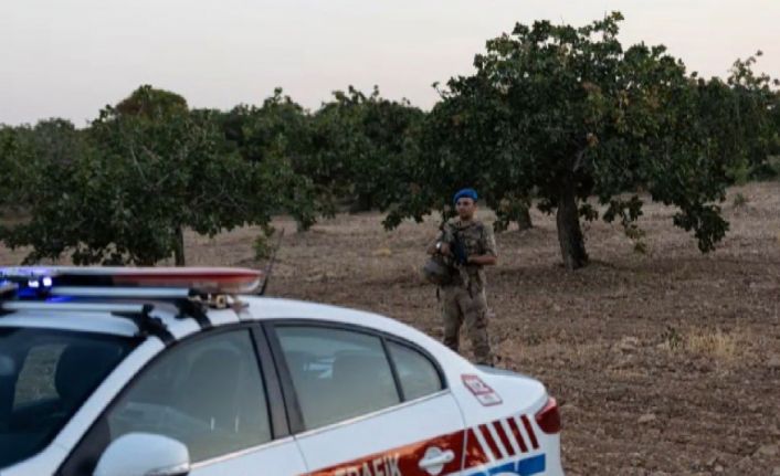 Gaziantep’te “yeşil altın” denetimlerinde 108 tutuklama