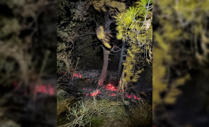 Gazipaşa’da, zamanında müdahale orman yangınını önledi