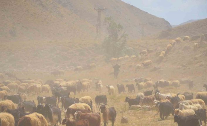 Göçerler son demlerini yaşıyor