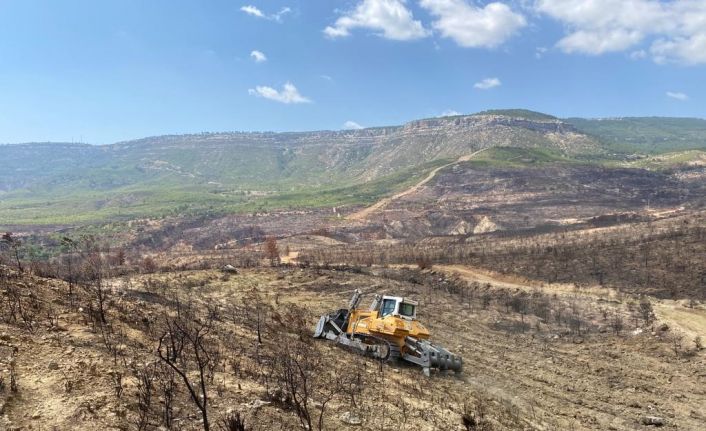 Gülnar’da yanan ormanlık alanlarda ağaçlandırma çalışmalarına başlandı