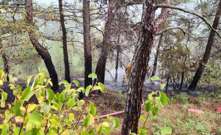 Hatay’da çıkan orman yangını kontrol altına alındı