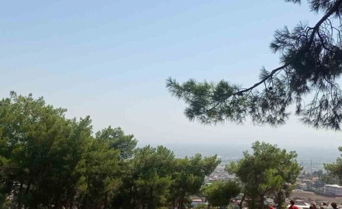 Hatay’da ormanlık alanda örtü yangını