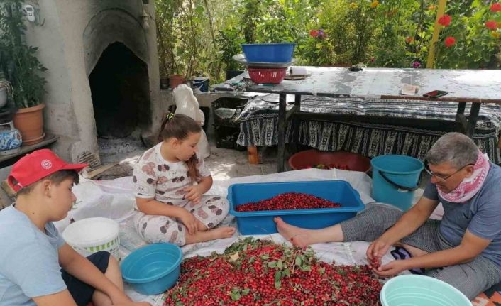 Hisarcık’ta kızılcık üretimi düştü, fiyatlar ikiye katlandı