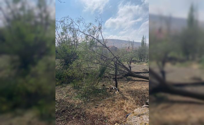 İl Özel İdaresi, çalışmalarına aralıksız devam ediyor