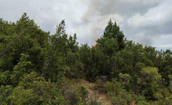 Isparta’da bahçe temizliği orman yangınına neden oldu