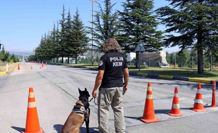 Isparta’da uyuşturucudan bir ayda 142 şüpheli yakalandı