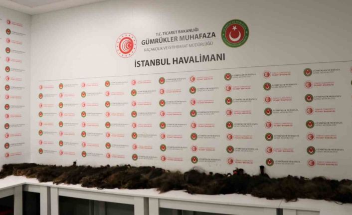 İstanbul’da İnsan saçı kaçakçılarına gümrük muhafaza engeli