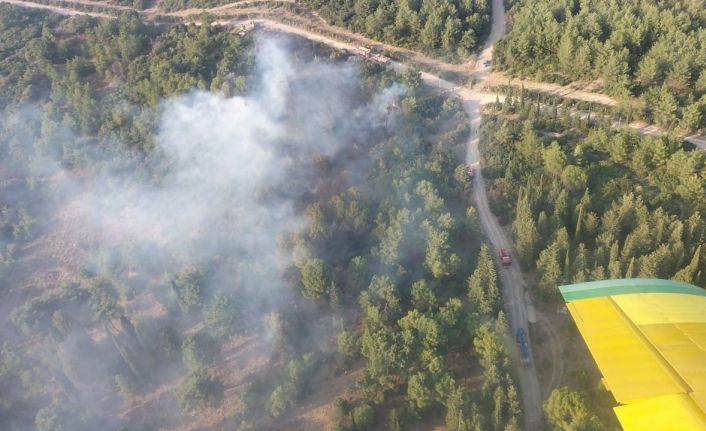 İzmir’de orman yangınına havadan ve karadan müdahale sürüyor