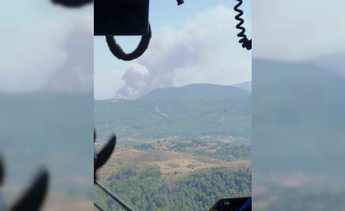 İzmir’de ormanlık alanda yangın