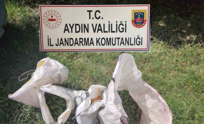 Jandarma’dan tarımsal ürün hırsızlığına geçit yok