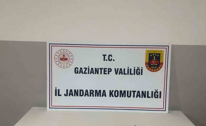 Jandarmanın ’maganda’ operasyonunda çok sayıda silah ele geçirildi