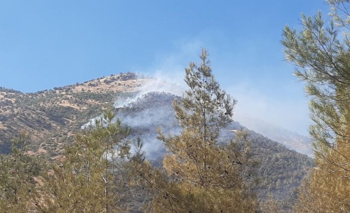 Kahramanmaraş’ta orman yangını