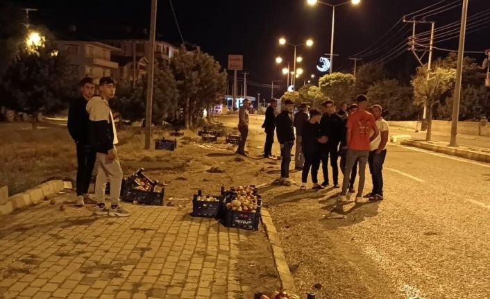 Kaldırıma çarpan kamyondan yola dağılan elmaları vatandaşlar topladı