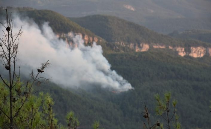 Karabük Valisi Yavuz’dan yangın açıklaması: "Karadan müdahale devam ediyor"