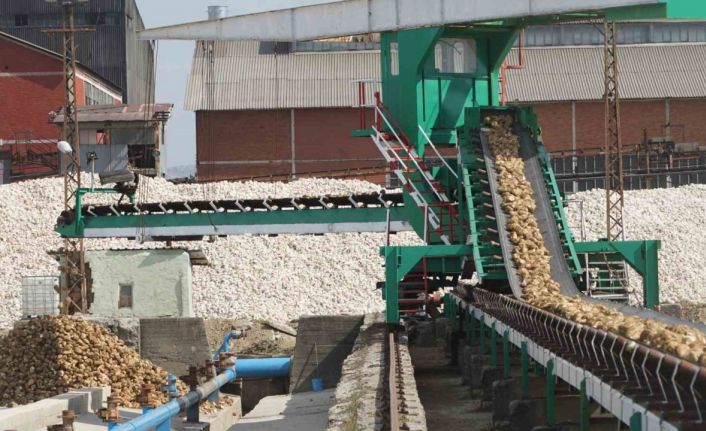 Kastamonu Şeker Fabrikasında şeker pancarı alım kampanyası başladı