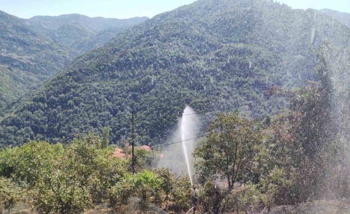 Kastamonu’da anız yangını ormana sıçramadan söndürüldü